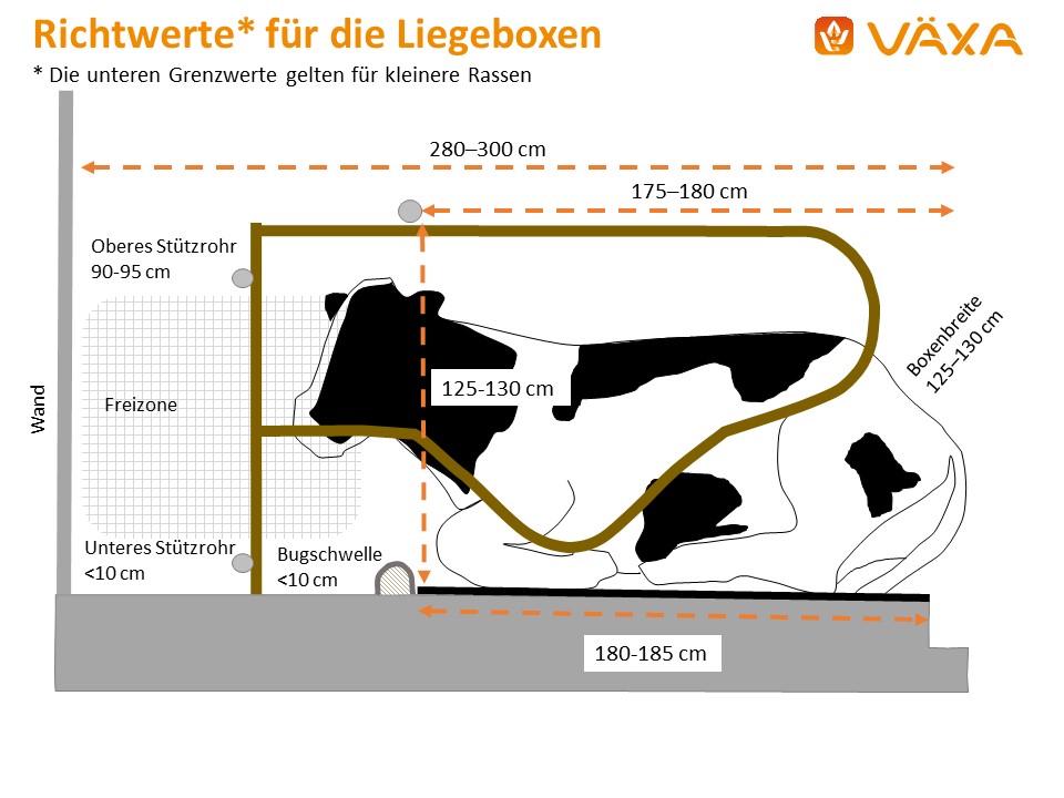 Richtwerte fur die Liegeboxen