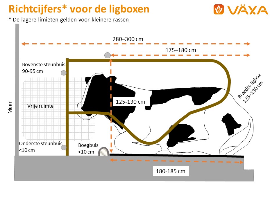 Richtcijfers voor de ligboxen