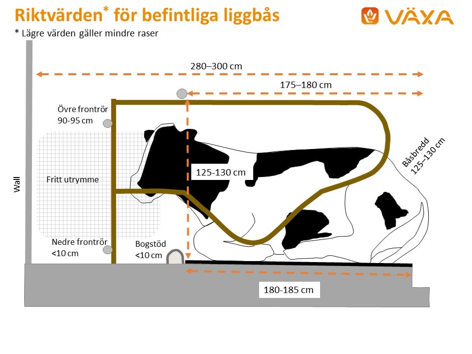 Riktvarden for befintliga liggbas