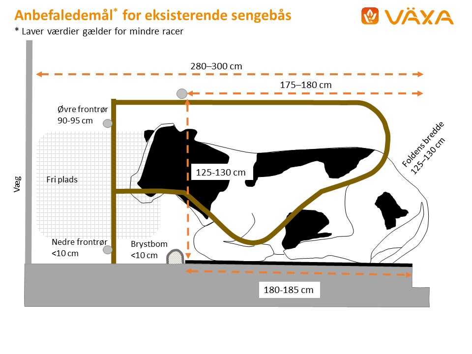 Anbefaledemål for eksisterende sengebås