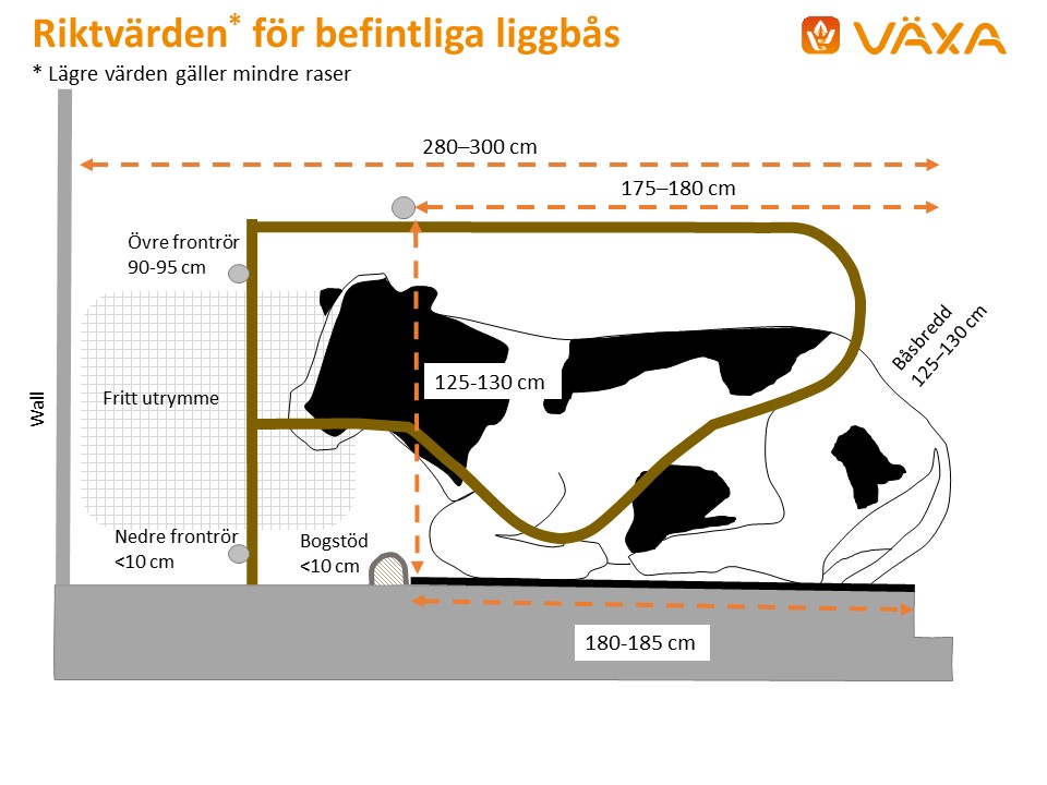 Riktvarden for befintliga liggbas